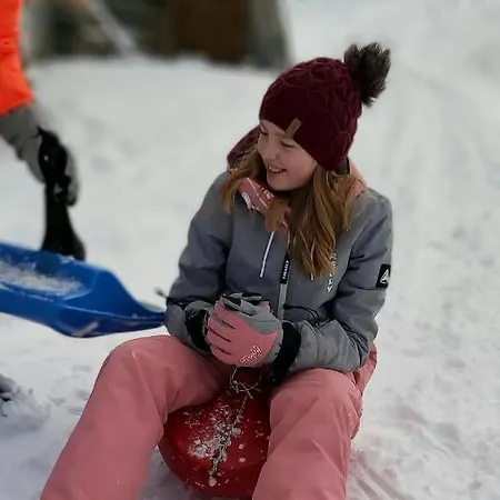 Apartment Michis Flachau