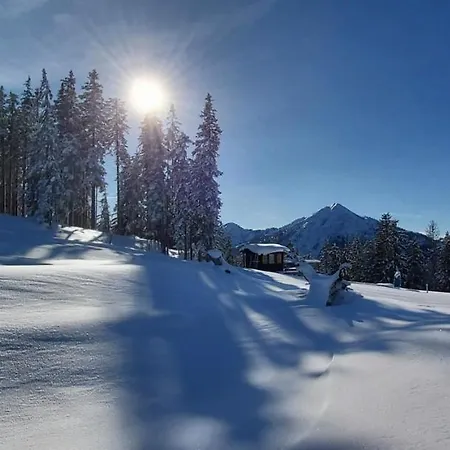 Apartment Michis Flachau