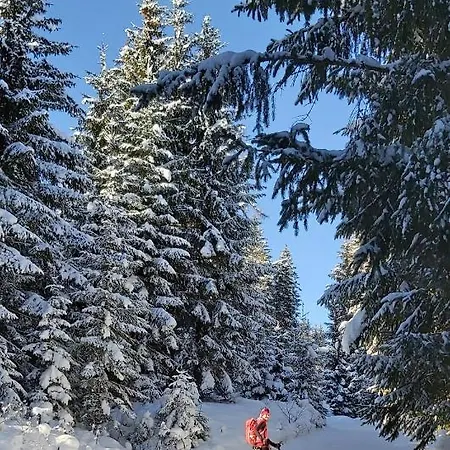 Apartment Michis Flachau