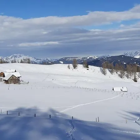 Michis Apartment Flachau