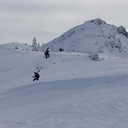 Michis Apartment Flachau