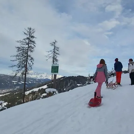 Apartament Michis Flachau