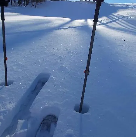 Apartment Michis Flachau