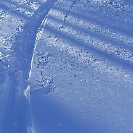 Michis Apartment Flachau