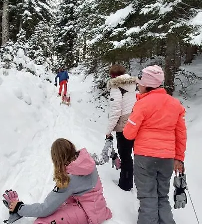 Apartment Michis Flachau