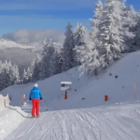 公寓 Michis 弗拉绍