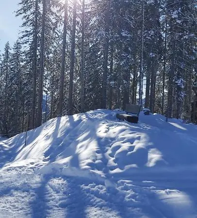 Apartment Michis Flachau