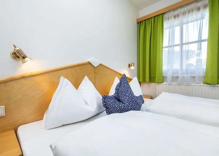 Lejlighed Michis Flachau