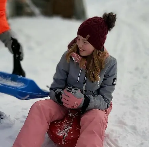 Lejlighed Michis Flachau