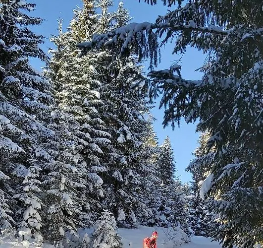 Lejlighed Michis Flachau