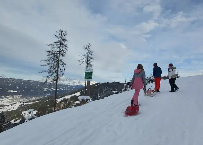 Lejlighed Michis Flachau