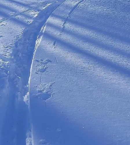 Michis Lejlighed Flachau