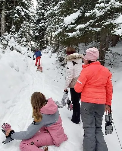 Lejlighed Michis Flachau