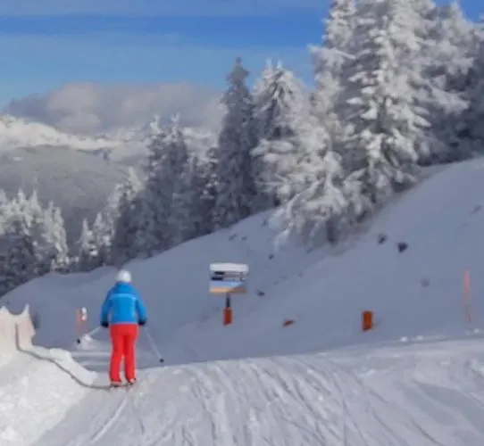 Lejlighed Michis Flachau